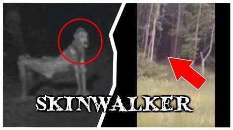 6. There are many different theories on how Skinwalkers come to be, but the most prevalent speaks of an official ceremony where people become …